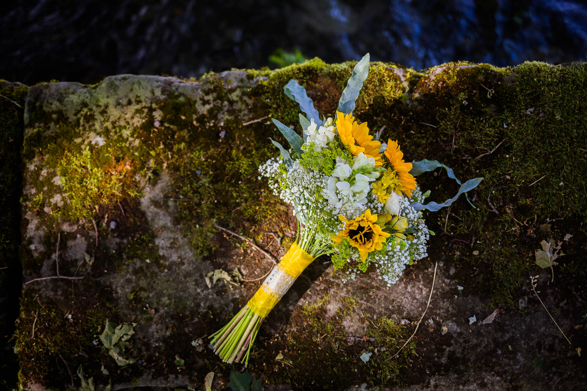 Export x3 5D4 7221 Hochzeit 2021 Jacqueline & Raphael